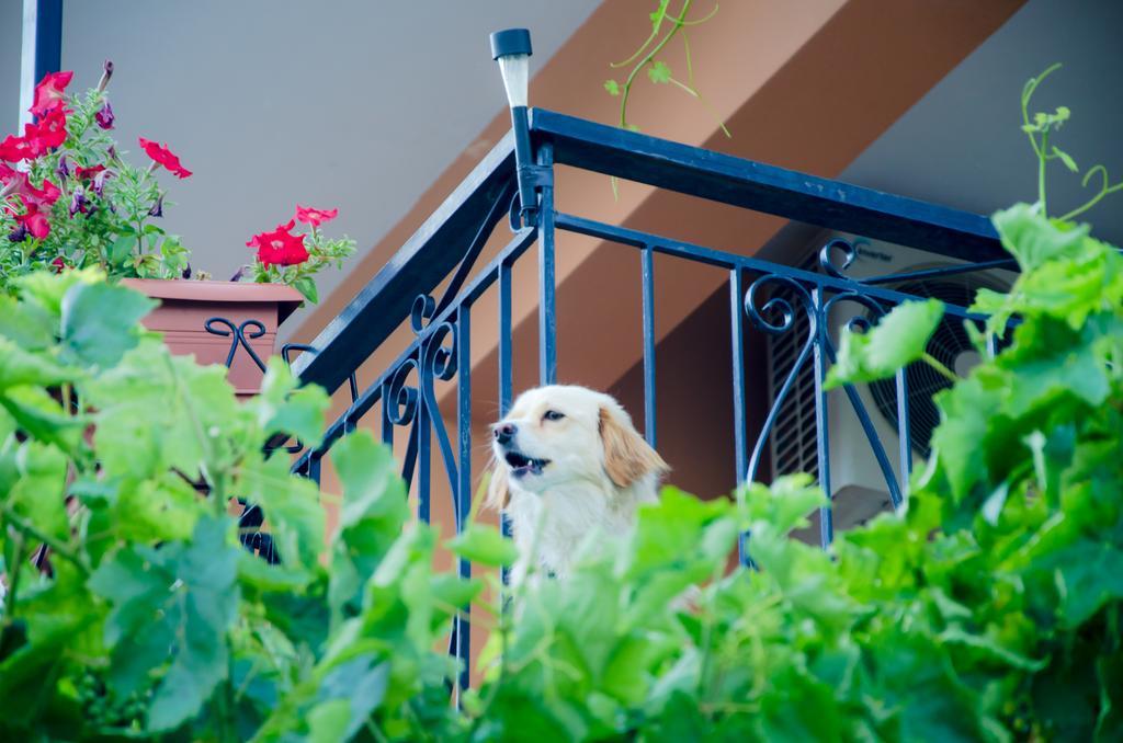 Apartment Nefeli