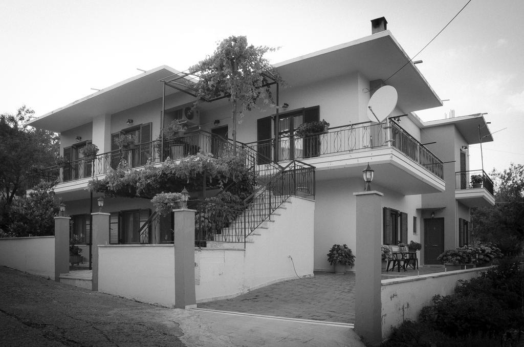 Nefeli Levidhion