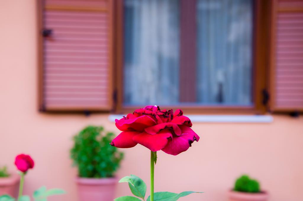 Apartament Nefeli *